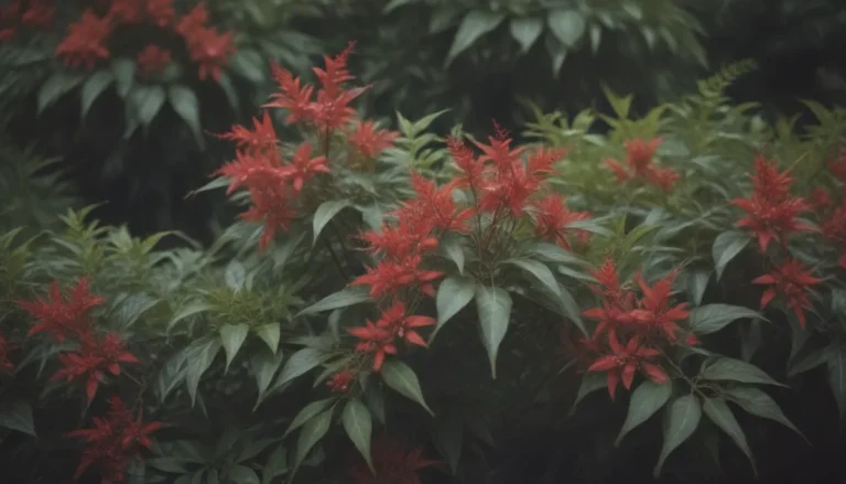 The Ultimate Guide to Growing and Caring for Firepower Nandina