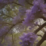 Everything You Need to Know About Growing and Caring for Jacaranda Trees