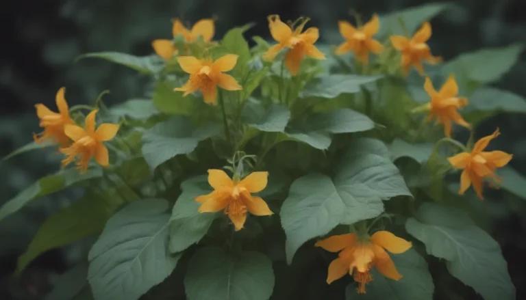 The Ultimate Guide to Growing and Caring for Jewelweed