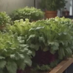 Mastering Indoor Lettuce Growth: Your Ultimate Resource