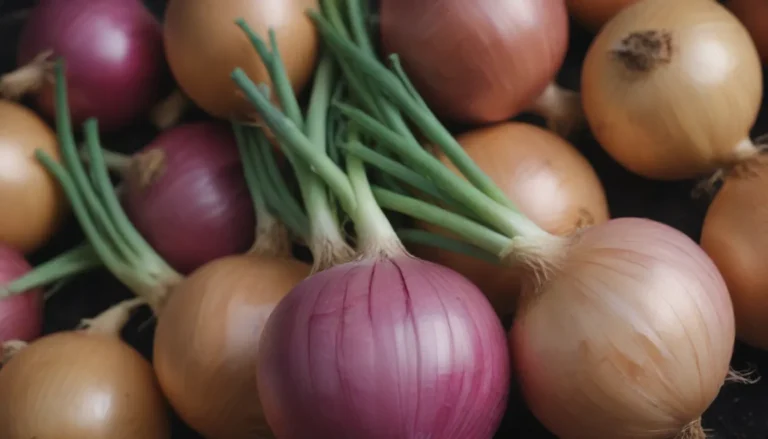 The Ultimate Guide to Growing and Caring for Onions