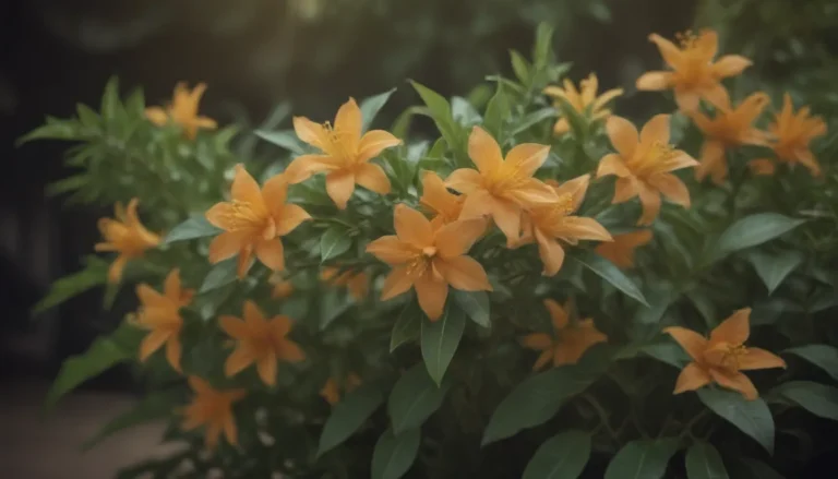 The Ultimate Guide to Growing and Caring for Orange Jasmine