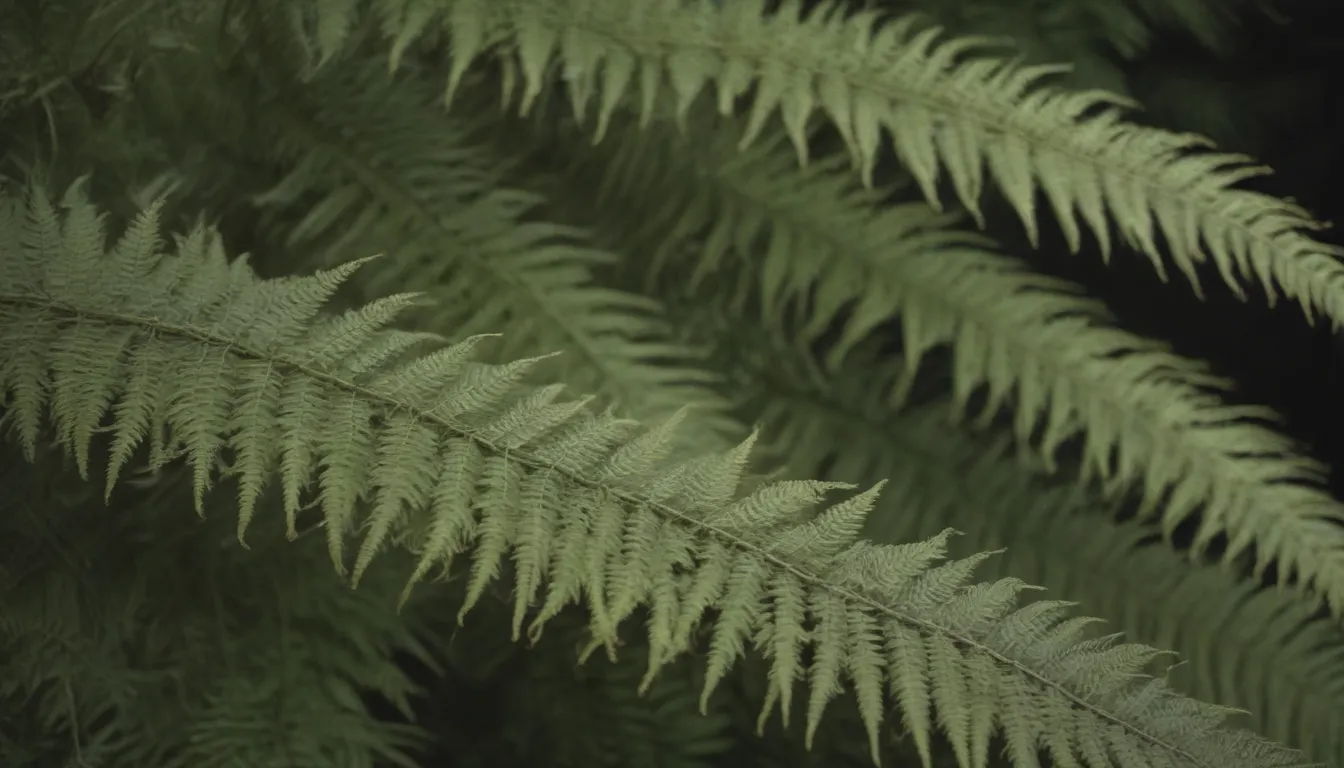 A Comprehensive Guide to Growing and Caring for Ostrich Ferns