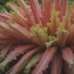 The Ultimate Guide to Growing and Caring for Rhubarb