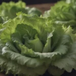 Mastering the Art of Growing Romaine Lettuce at Home