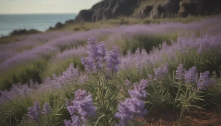 Your Complete Guide to Growing and Caring for Sea Lavender