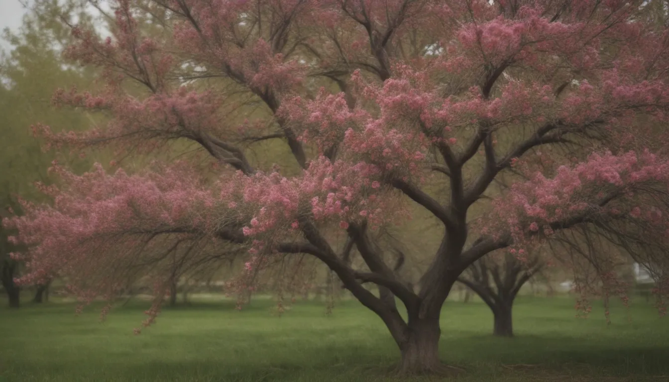 The Ultimate Guide to Growing and Caring for 'Sugar Tyme' Crabapple Trees