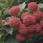 Comprehensive Guide on How to Plant, Grow, and Care for Viburnum