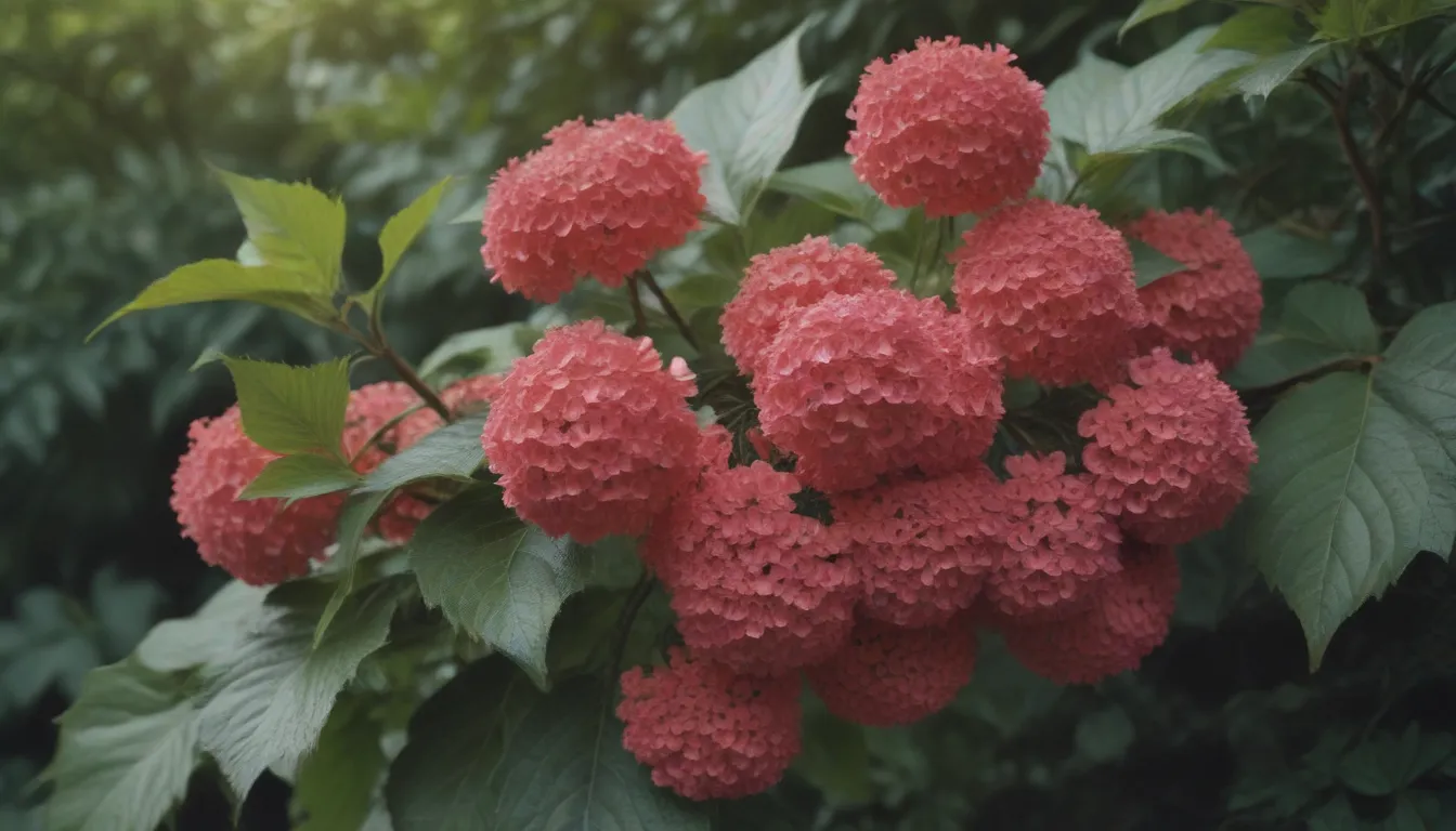 Comprehensive Guide on How to Plant, Grow, and Care for Viburnum