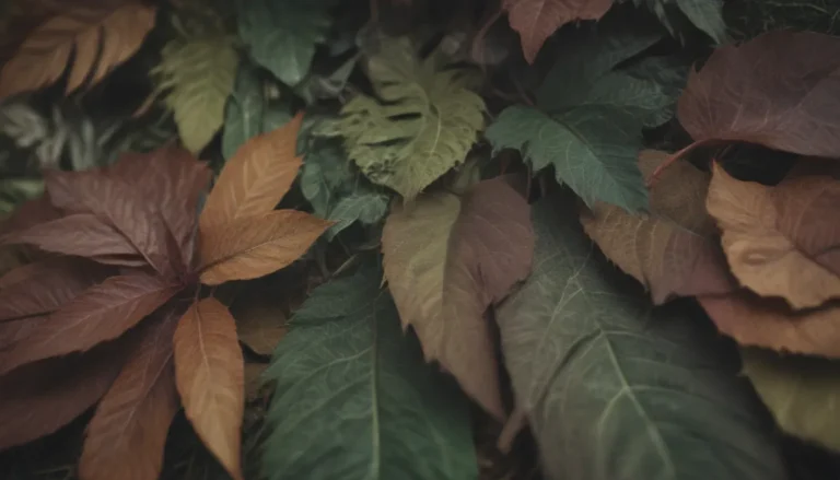 Understanding Why Your Plant’s Leaves are Turning Brown