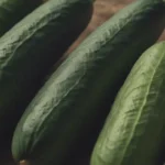 The Complete Guide to Harvesting Cucumbers