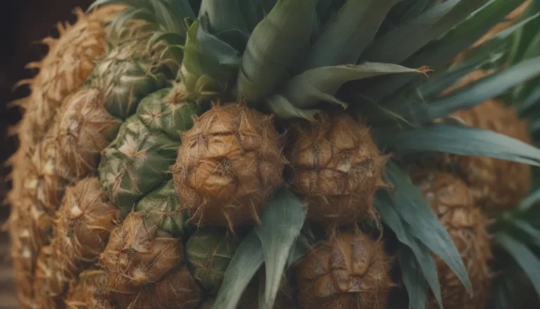 How Long Does it Really Take to Grow a Pineapple?