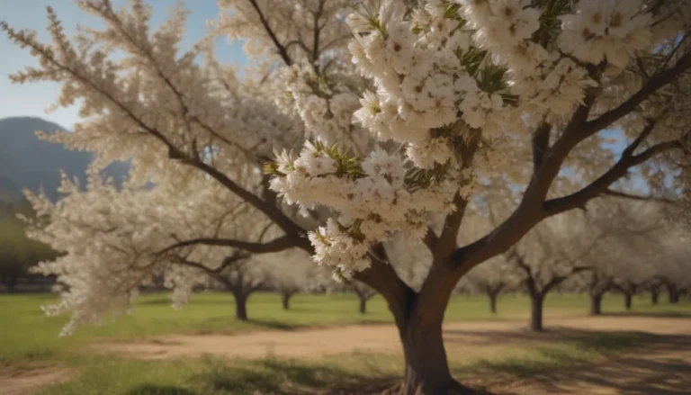 A Comprehensive Guide to Growing and Caring for Almond Trees