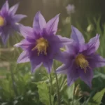 Unlocking the Secrets of Growing and Caring for Columbine Flowers