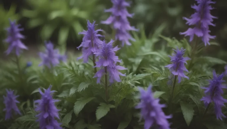 The Complete Guide to Growing and Caring for Lobelia