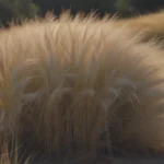 Ultimate Guide to Mexican Feather Grass: Care, Growing Tips, and More