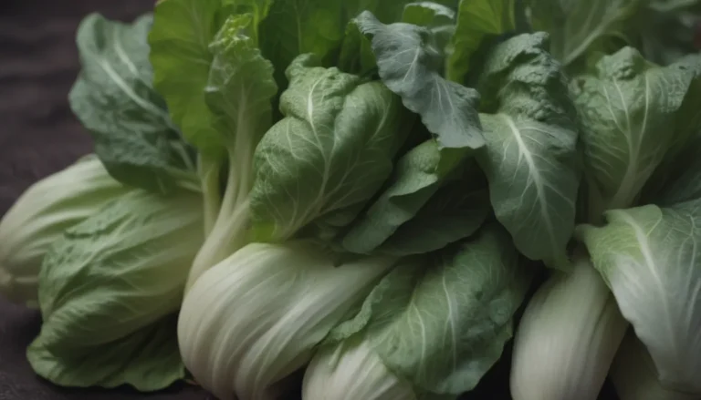 A Comprehensive Guide on Growing Bok Choy