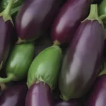 The Complete Guide to Growing Eggplant: Tips, Tricks, and More!