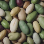 The Ultimate Guide to Growing Lima Beans