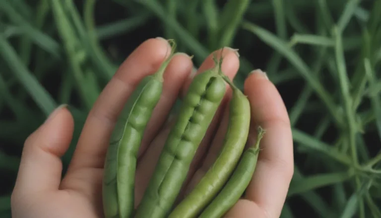 The Complete Guide to Growing and Caring for Peas