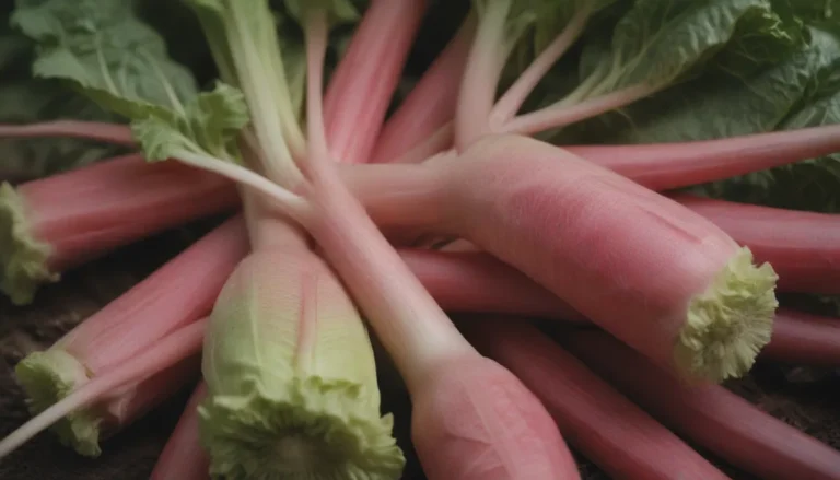 How to Successfully Grow Rhubarb from Seeds: A Comprehensive Guide