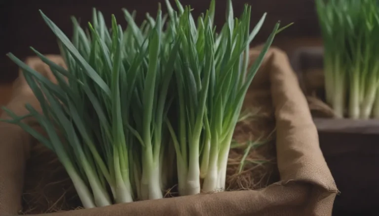 The Ultimate Guide to Growing Green Onions: Planting, Care, and Regrowing Tips