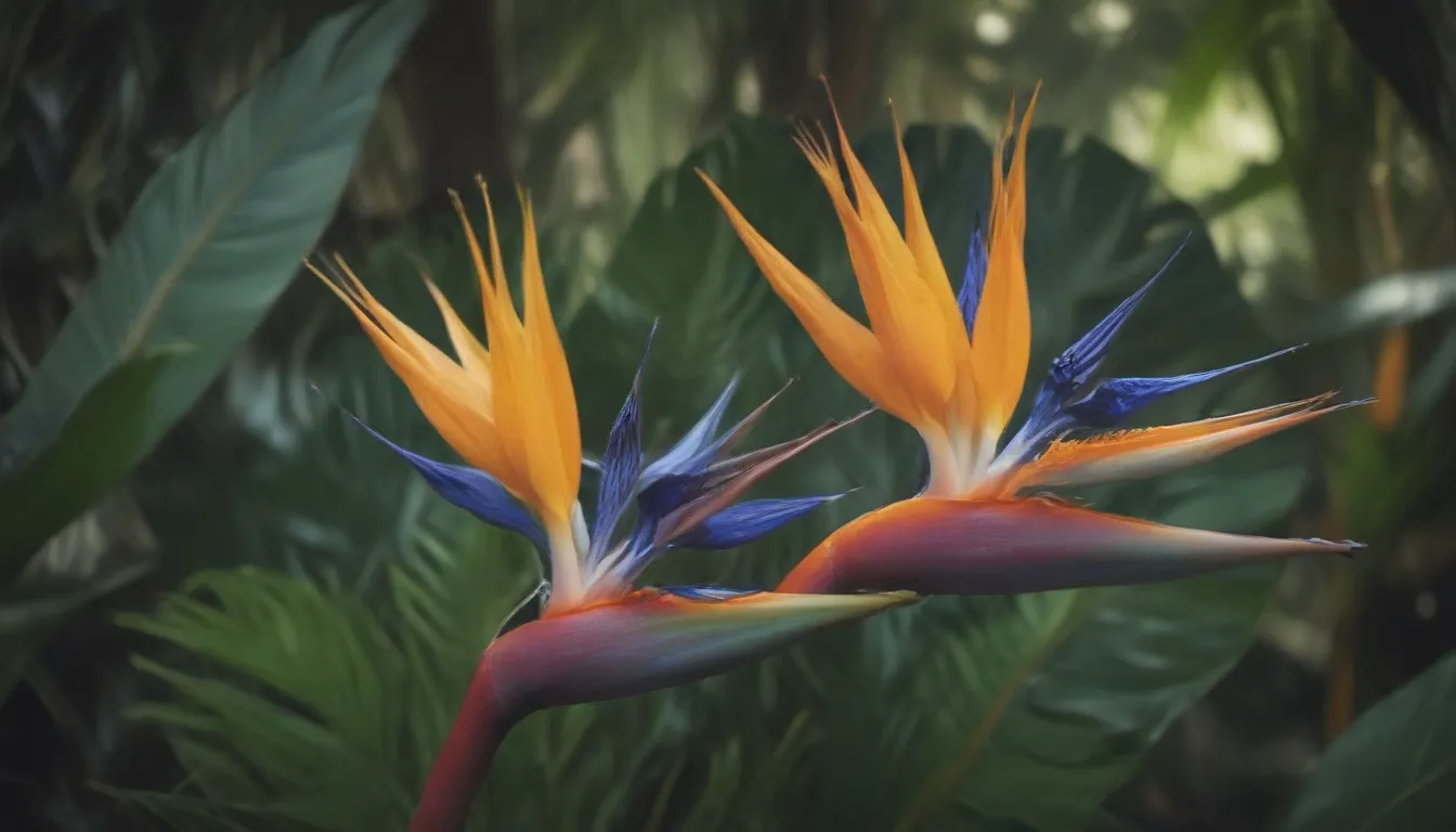 Ultimate Bird of Paradise Care and Growing Guide