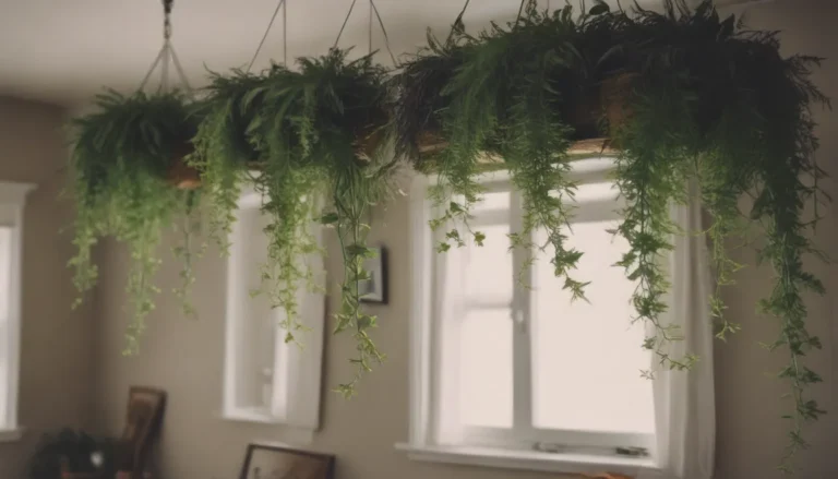 How to Hang Plants From the Ceiling Without Holes: A Comprehensive Guide