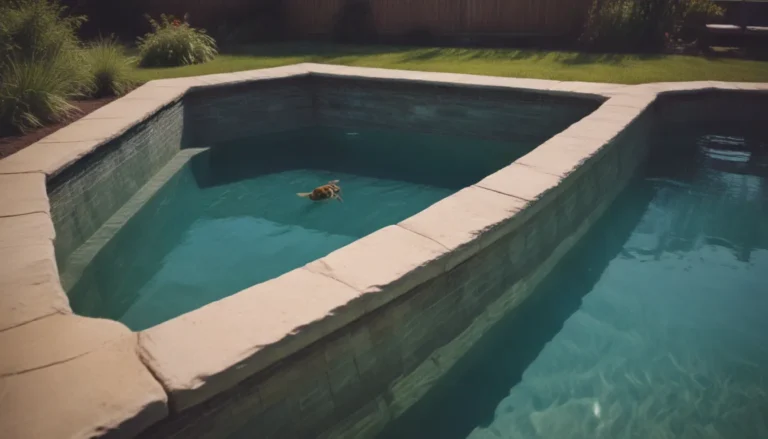 Protecting Your Pool: How to Keep Bees at Bay