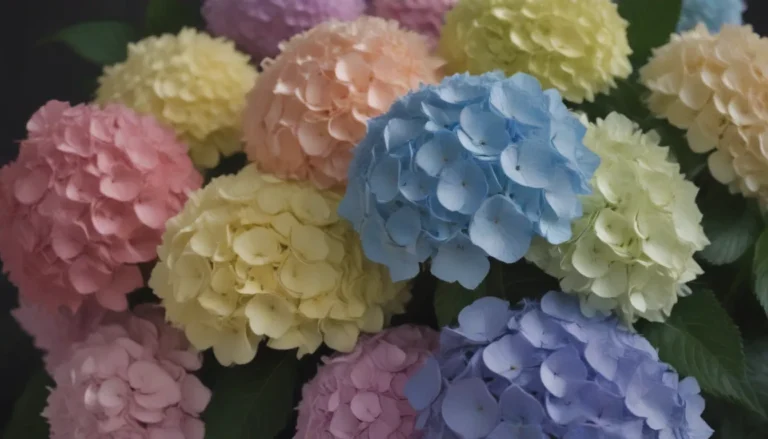 How to Change the Color of Your Hydrangeas: A Comprehensive Guide