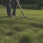 How to Properly Remove Grass When Revamping Your Landscape