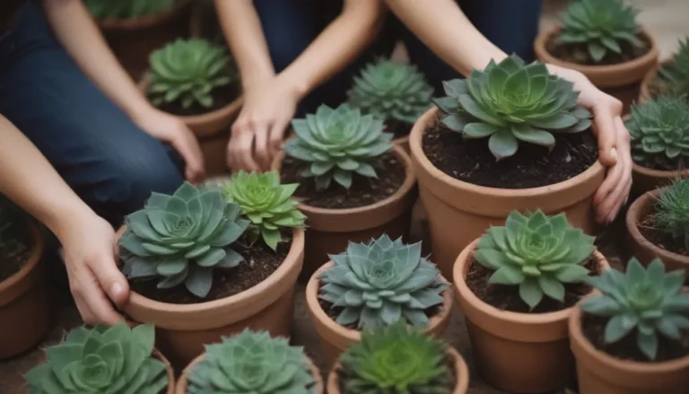 The Ultimate Guide to Successfully Repotting Your Succulents