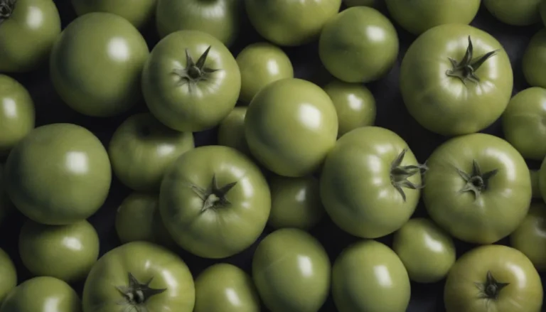 The Ultimate Guide on How to Ripen Green Tomatoes