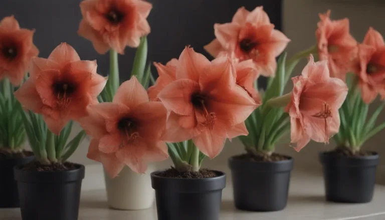 Comprehensive Guide to Storing and Caring for Amaryllis Bulbs