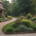 Landscaping Your Property Lines: Tips and Ideas