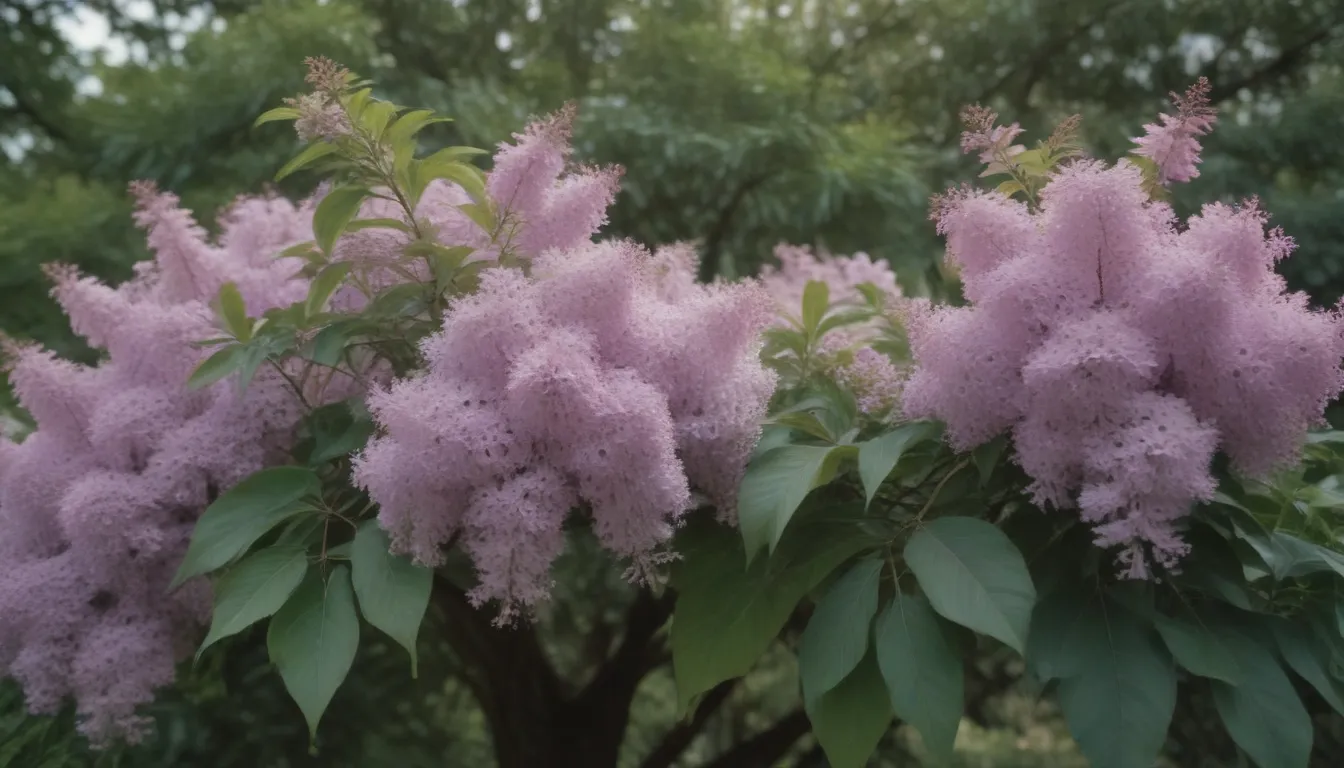 Comprehensive Guide to Growing and Caring for Japanese Lilac Trees