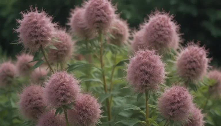 The Ultimate Guide to Growing and Caring for Joe Pye Weed