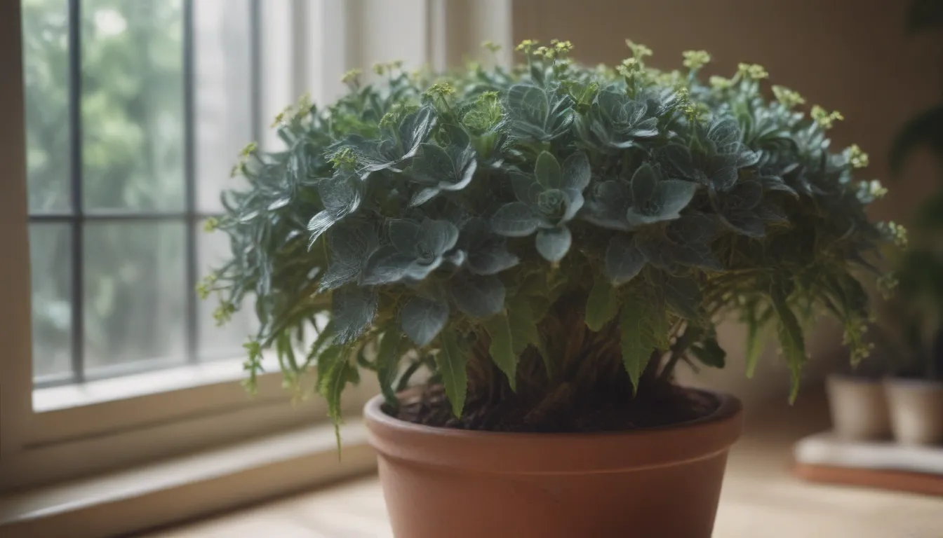 The Ultimate Guide to Growing and Caring for Kalanchoe Delagoensis (Chandelier Plant)