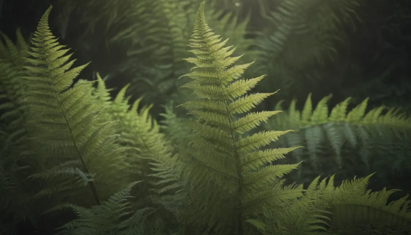 Mastering the Art of Growing and Caring for Lady Ferns