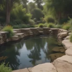 Dive into Landscape Design: A Comprehensive Guide for Beginners