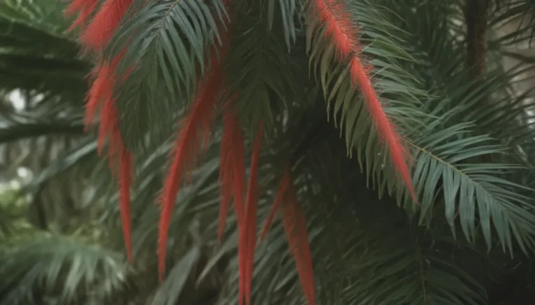 Comprehensive Guide to Growing and Caring for the Lipstick Palm