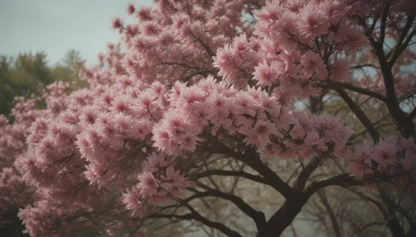 The Ultimate Guide to Growing and Caring for Saucer Magnolia Trees