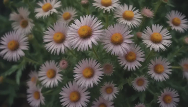 Comprehensive Guide to Growing and Caring for Mexican Fleabane