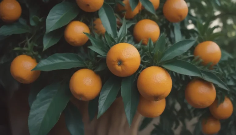 Everything You Need to Know About Growing and Caring for Mexican Orange Plants