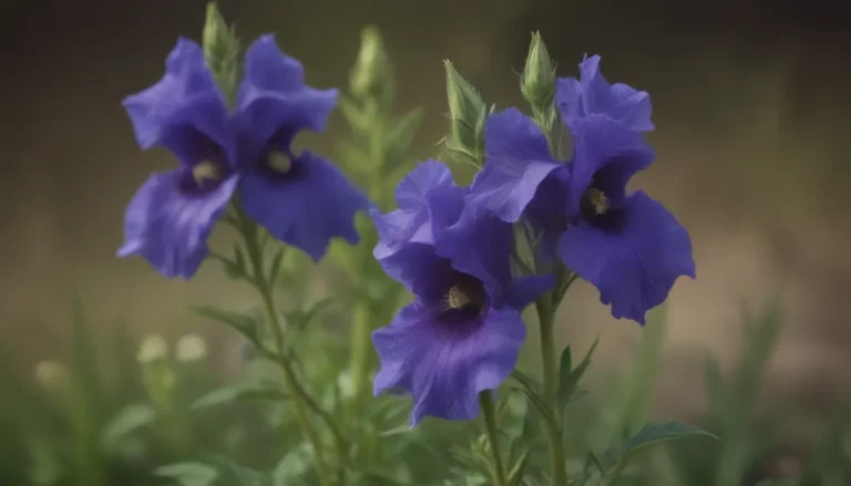 The Complete Guide to Growing and Caring for Monkshood