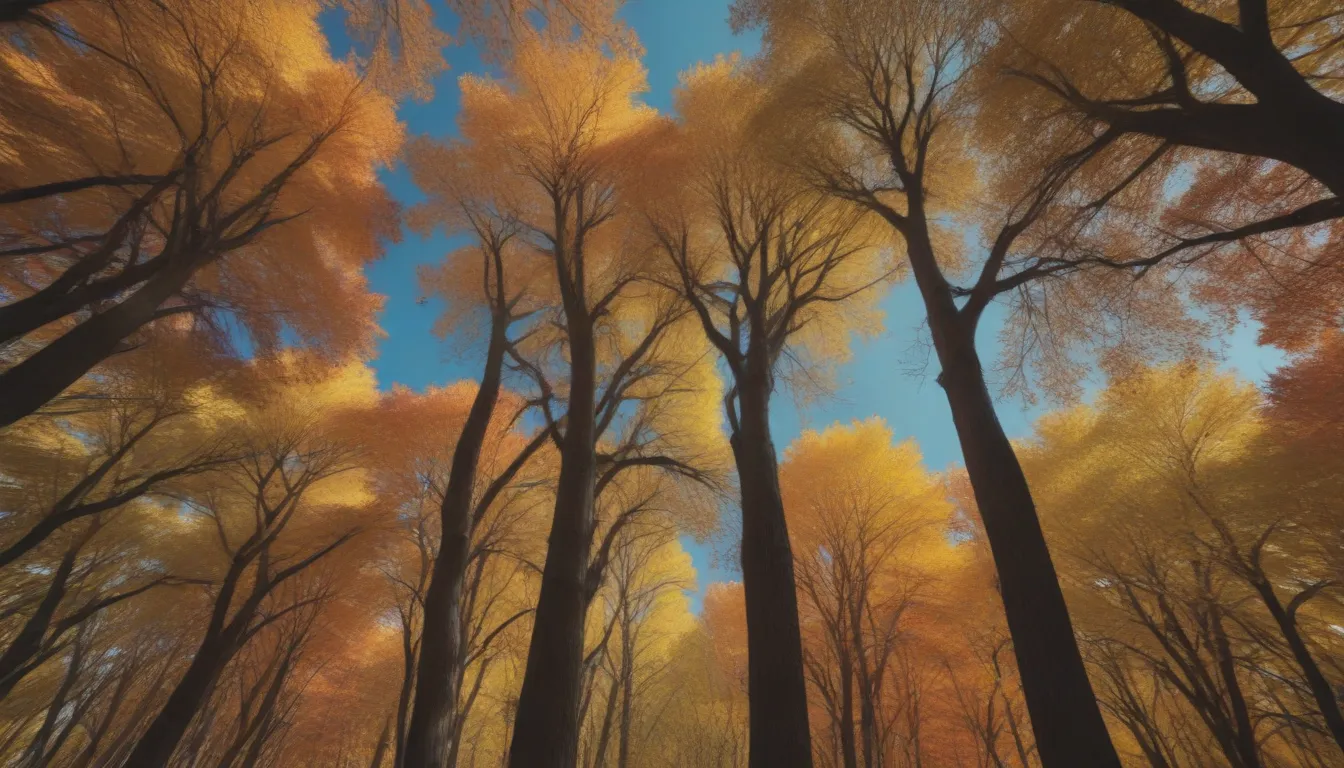 12 Trees With Brilliant Fall Color and More