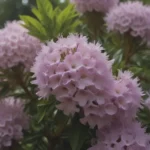 A Complete Guide to Growing and Caring for Mountain Laurel