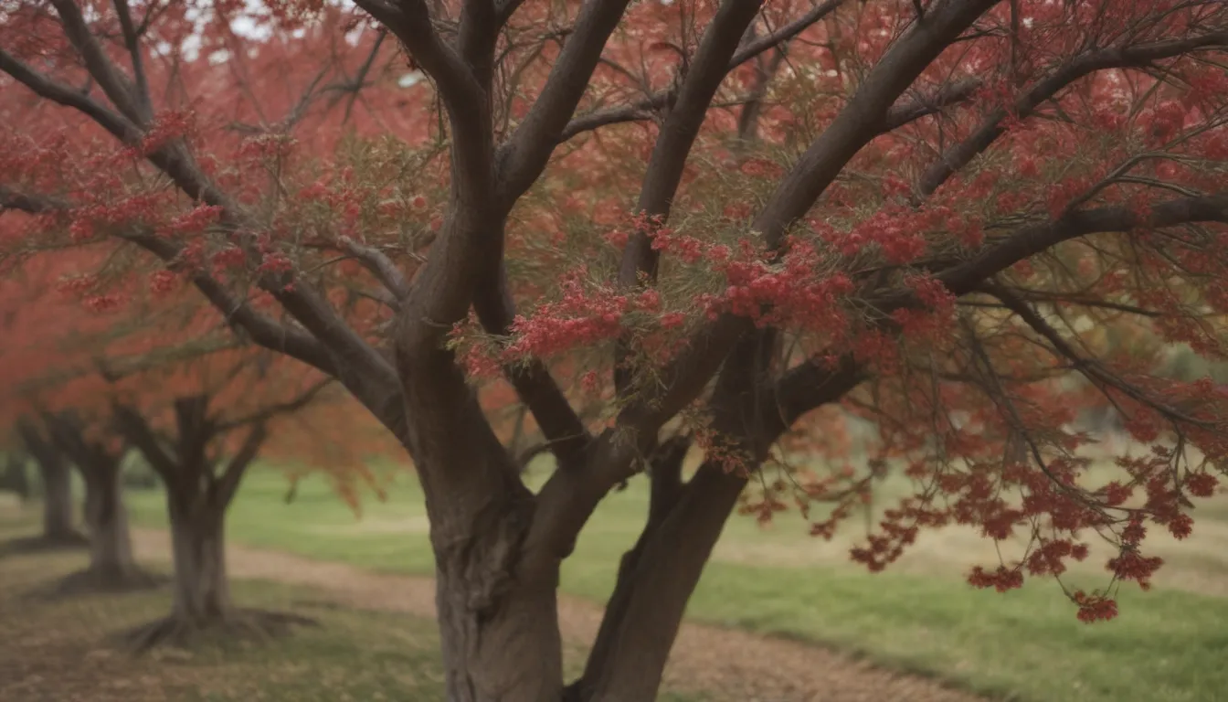 Mastering the Art of Growing and Caring for Nanking Cherry Bushes