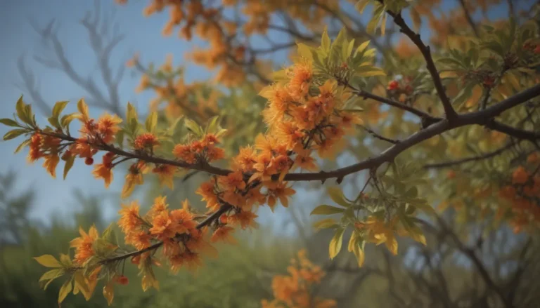 How to Identify and Safely Remove Oriental Bittersweet from Your Garden