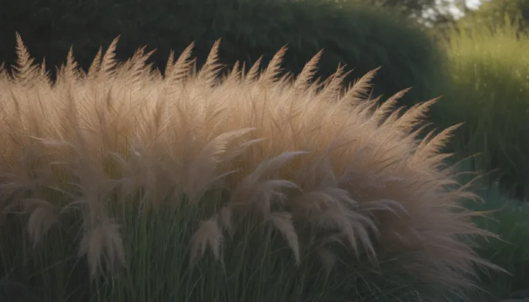 Top 10 Ornamental Grasses for Privacy and Beauty in Your Garden